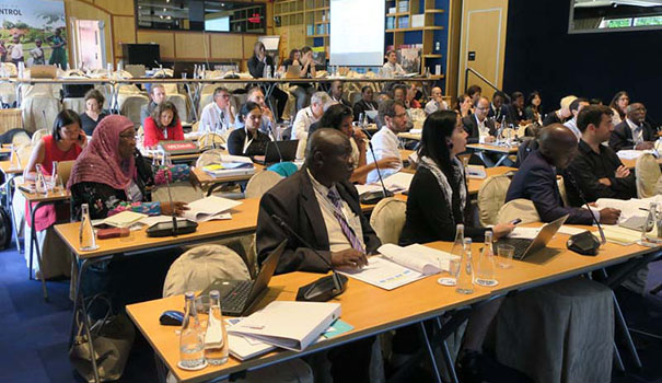 Participant sitting in rows listening to a presentation projected on screen.
