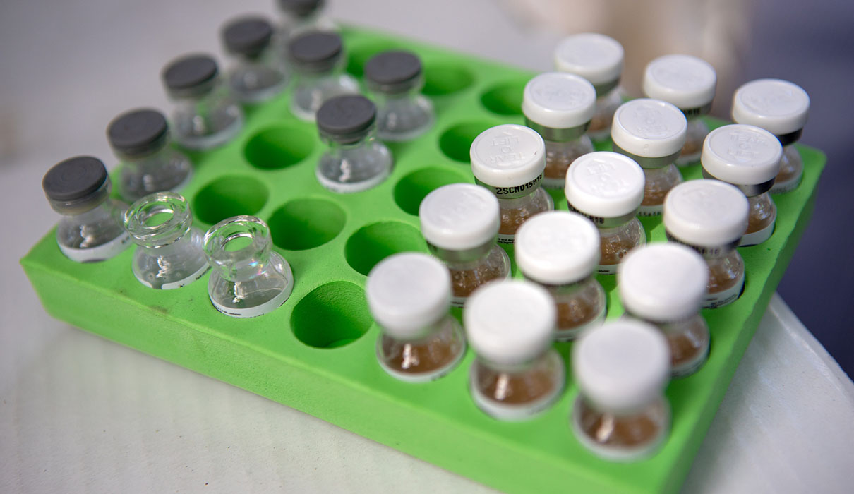 A green tray with vaccines.