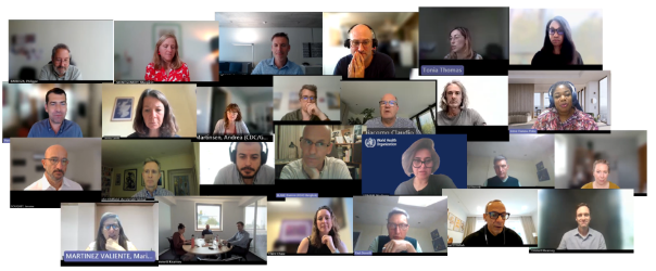 10th Annual Meeting of the GTFCC Working Group on WASH participants